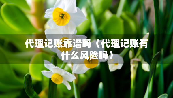 代理記賬靠譜嗎（代理記賬有什么風(fēng)險嗎）