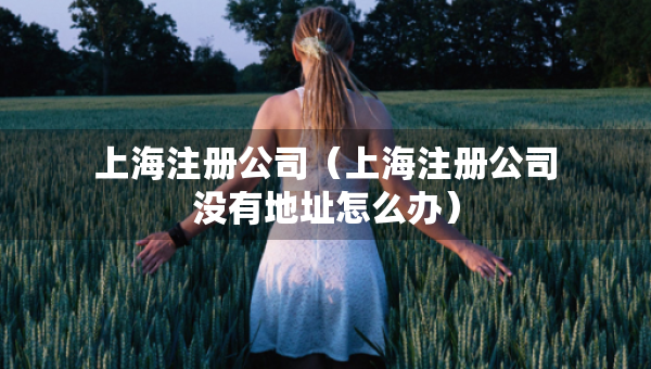 上海注冊公司（上海注冊公司沒有地址怎么辦）