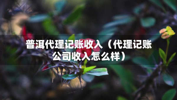 普洱代理記賬收入（代理記賬公司收入怎么樣）