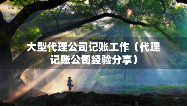 大型代理公司記賬工作（代理記賬公司經(jīng)驗(yàn)分享）