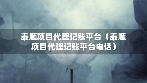 泰順項目代理記賬平臺（泰順項目代理記賬平臺電話）