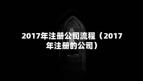 2017年注冊(cè)公司流程（2017年注冊(cè)的公司）