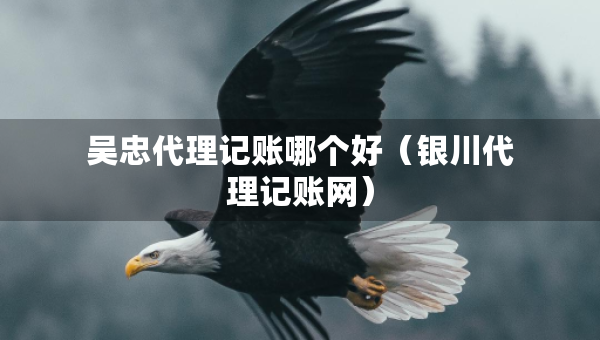 吳忠代理記賬哪個好（銀川代理記賬網(wǎng)）