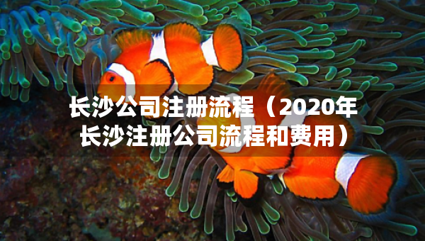 長沙公司注冊流程（2020年長沙注冊公司流程和費(fèi)用）