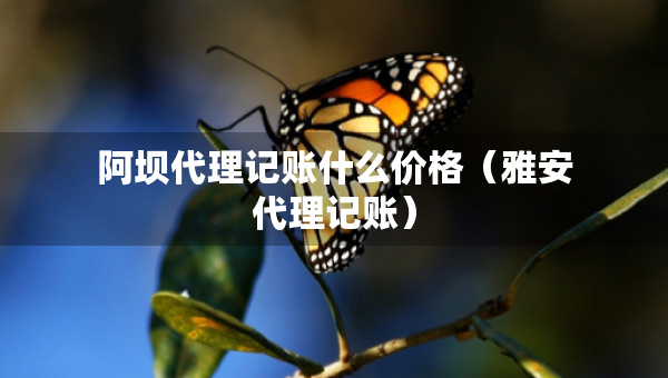 阿壩代理記賬什么價(jià)格（雅安代理記賬）