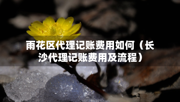 雨花區(qū)代理記賬費用如何（長沙代理記賬費用及流程）