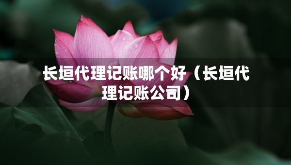 長垣代理記賬哪個好（長垣代理記賬公司）