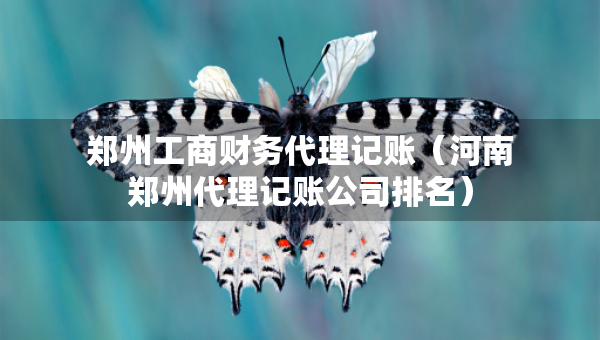 鄭州工商財(cái)務(wù)代理記賬（河南鄭州代理記賬公司排名）