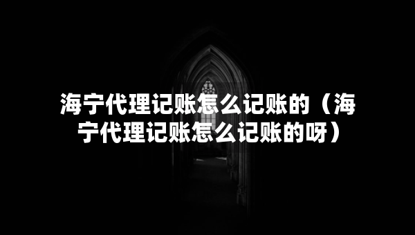 海寧代理記賬怎么記賬的（海寧代理記賬怎么記賬的呀）