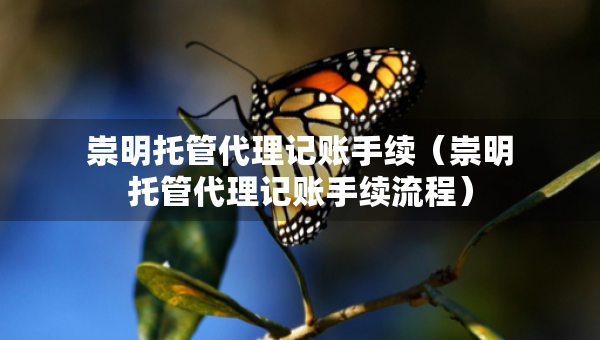 崇明托管代理記賬手續(xù)（崇明托管代理記賬手續(xù)流程）