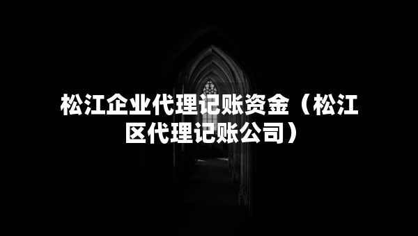 松江企業(yè)代理記賬資金（松江區(qū)代理記賬公司）