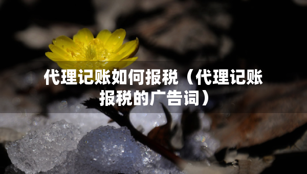 代理記賬如何報(bào)稅（代理記賬報(bào)稅的廣告詞）