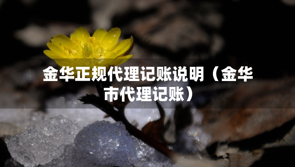 金華正規(guī)代理記賬說明（金華市代理記賬）