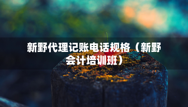 新野代理記賬電話規(guī)格（新野會計培訓(xùn)班）