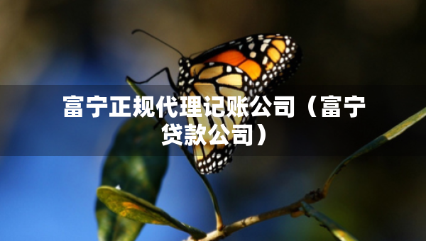 富寧正規(guī)代理記賬公司（富寧貸款公司）