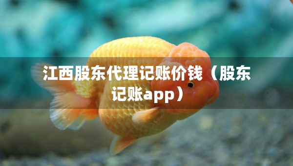 江西股東代理記賬價錢（股東記賬app）