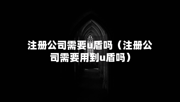 注冊公司需要u盾嗎（注冊公司需要用到u盾嗎）