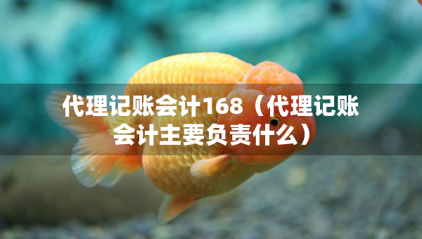 代理記賬會計168（代理記賬會計主要負(fù)責(zé)什么）