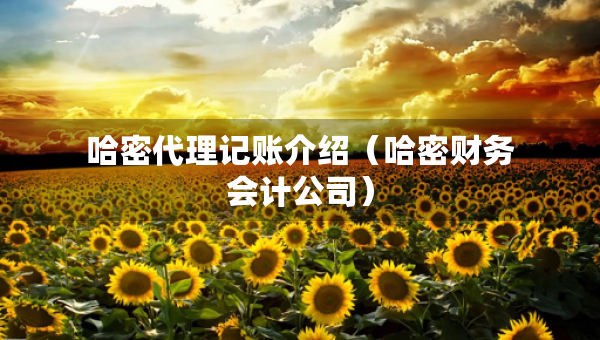 哈密代理記賬介紹（哈密財務會計公司）