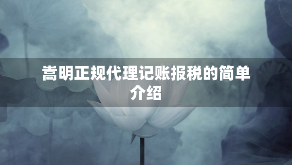 嵩明正規(guī)代理記賬報稅的簡單介紹