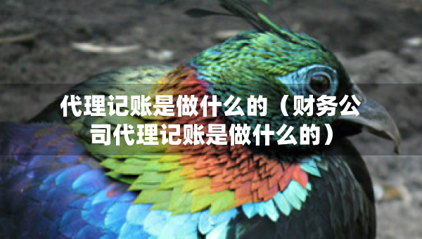 代理記賬是做什么的（財務公司代理記賬是做什么的）