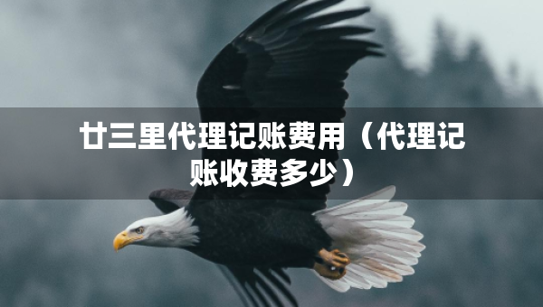 廿三里代理記賬費(fèi)用（代理記賬收費(fèi)多少）