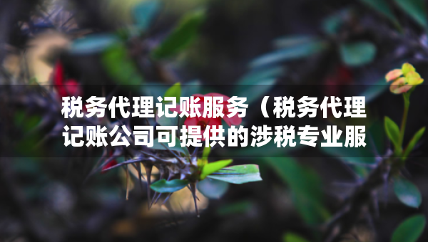 稅務代理記賬服務（稅務代理記賬公司可提供的涉稅專業(yè)服務）