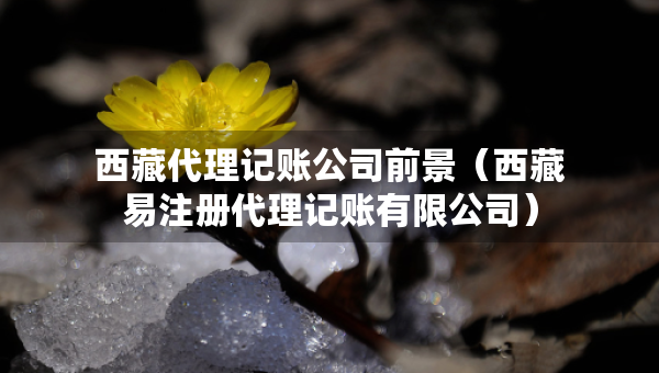 西藏代理記賬公司前景（西藏易注冊(cè)代理記賬有限公司）