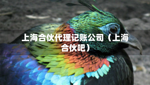 上海合伙代理記賬公司（上海合伙吧）