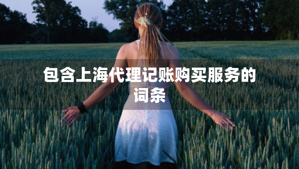 包含上海代理記賬購(gòu)買(mǎi)服務(wù)的詞條