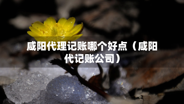 咸陽代理記賬哪個好點（咸陽代記賬公司）