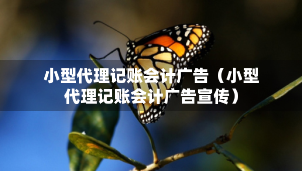 小型代理記賬會(huì)計(jì)廣告（小型代理記賬會(huì)計(jì)廣告宣傳）