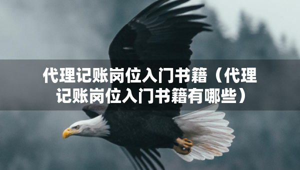 代理記賬崗位入門書籍（代理記賬崗位入門書籍有哪些）