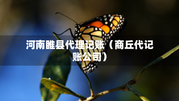 河南睢縣代理記賬（商丘代記賬公司）