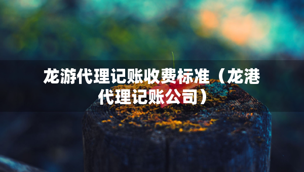 龍游代理記賬收費(fèi)標(biāo)準(zhǔn)（龍港代理記賬公司）