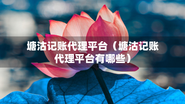 塘沽記賬代理平臺（塘沽記賬代理平臺有哪些）