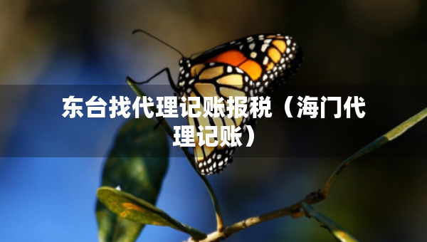 東臺找代理記賬報稅（海門代理記賬）