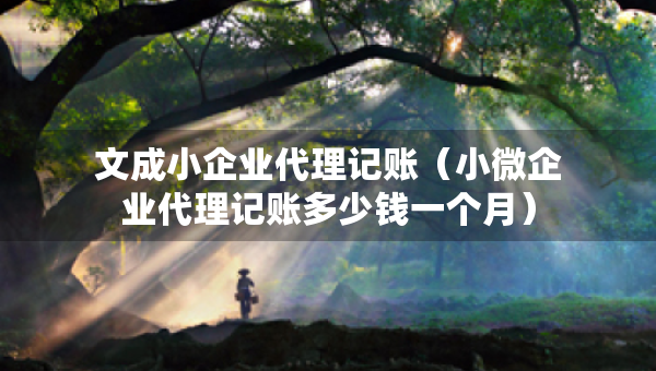 文成小企業(yè)代理記賬（小微企業(yè)代理記賬多少錢一個月）