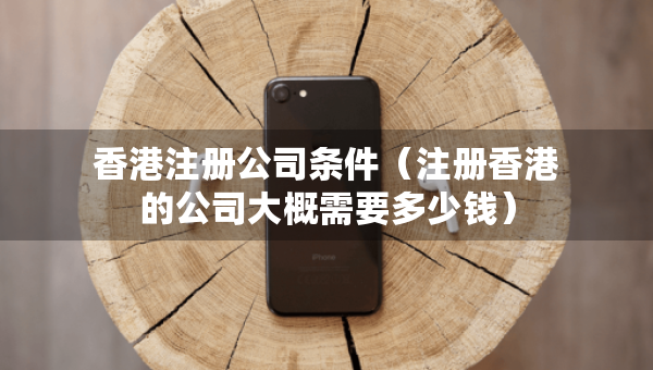 香港注冊(cè)公司條件（注冊(cè)香港的公司大概需要多少錢）