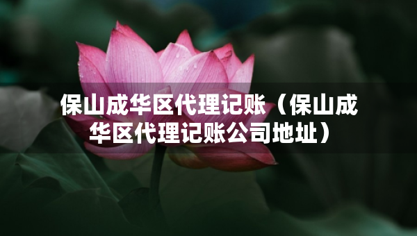 保山成華區(qū)代理記賬（保山成華區(qū)代理記賬公司地址）