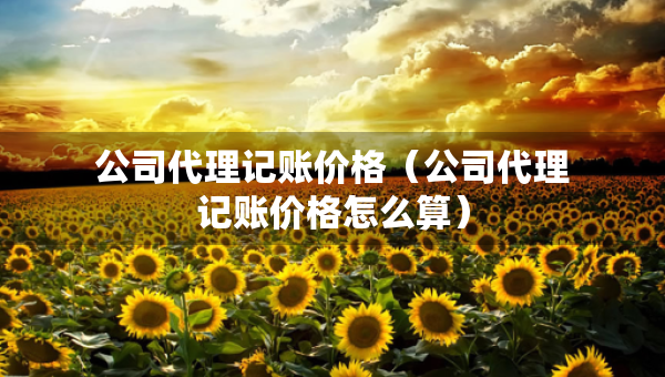 公司代理記賬價格（公司代理記賬價格怎么算）