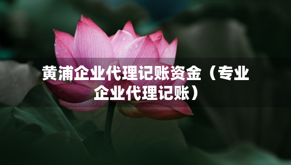 黃浦企業(yè)代理記賬資金（專業(yè)企業(yè)代理記賬）