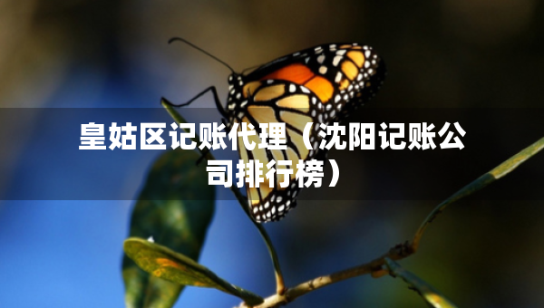 皇姑區(qū)記賬代理（沈陽記賬公司排行榜）