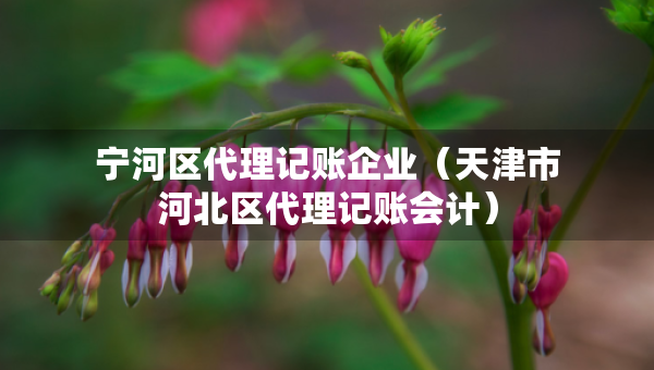 寧河區(qū)代理記賬企業(yè)（天津市河北區(qū)代理記賬會(huì)計(jì)）