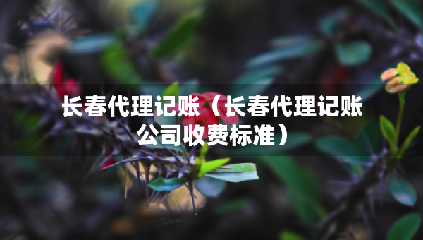 長(zhǎng)春代理記賬（長(zhǎng)春代理記賬公司收費(fèi)標(biāo)準(zhǔn)）