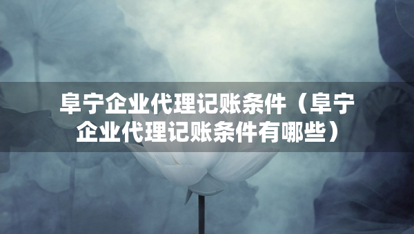 阜寧企業(yè)代理記賬條件（阜寧企業(yè)代理記賬條件有哪些）