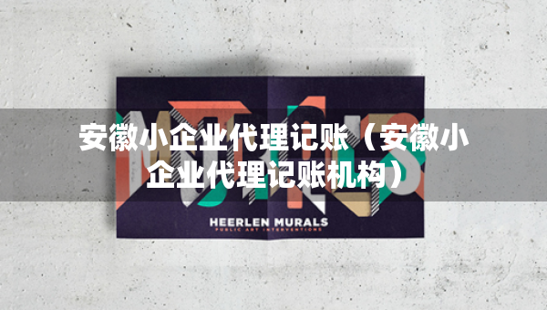 安徽小企業(yè)代理記賬（安徽小企業(yè)代理記賬機構(gòu)）