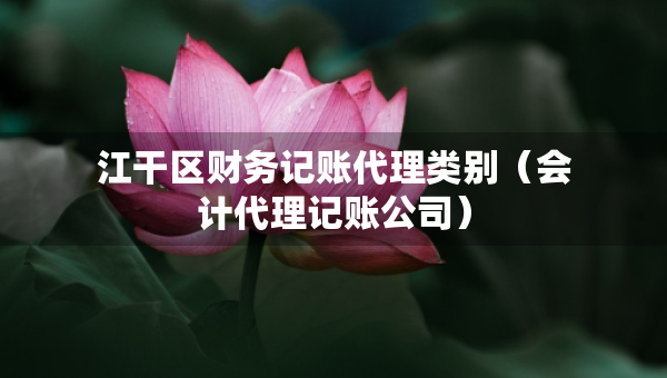 江干區(qū)財(cái)務(wù)記賬代理類別（會(huì)計(jì)代理記賬公司）