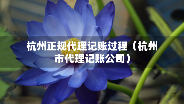 杭州正規(guī)代理記賬過程（杭州市代理記賬公司）