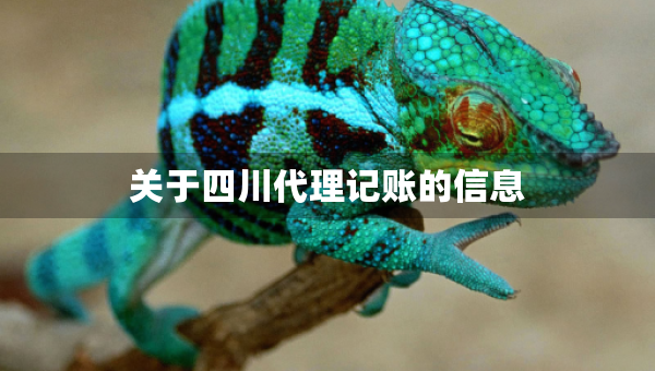 關(guān)于四川代理記賬的信息